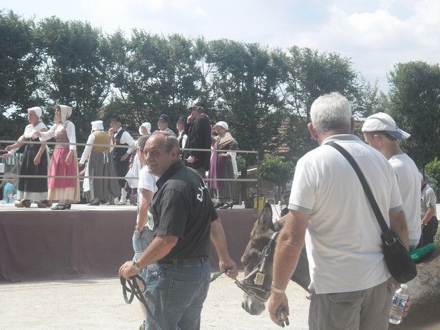 fete ane 2014 (55).jpg